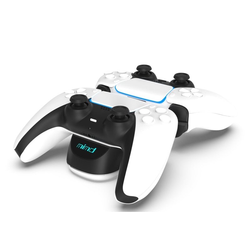 PS5 Wireless Controller Dual Charge PS5 Game Controller - NeoTech